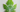 Plante under en 3D printer