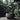Jednoduchý a minimalistický bonsai květináč