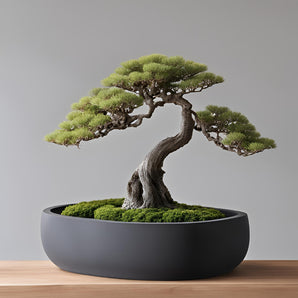 Kulatý květináč s drenážem pro bonsai stromy