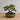 Kulatý květináč na bonsai s malou stabilní nožkou