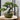 Kulatý minimalistický bonsai květináč pro malé rostliny