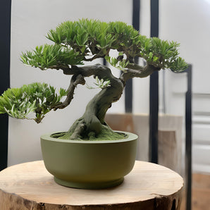Kulatý minimalistický bonsai květináč pro malé rostliny