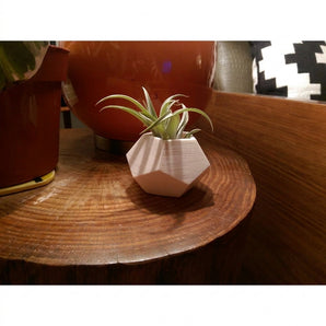 Malý geometrický obal na květináč ve tvaru dodekaedru