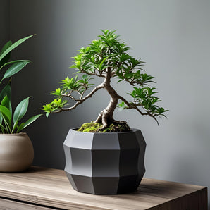 Moderní desetiúhelní květináč v minimalistickém designu