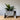 Sekskantet mid-century moderne plantekrukke