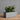 Moderne rektangulær plantekasse til små planter