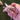 Gecko Držák na Kabely - Praktický Držák Kabelek v Geckodesignu