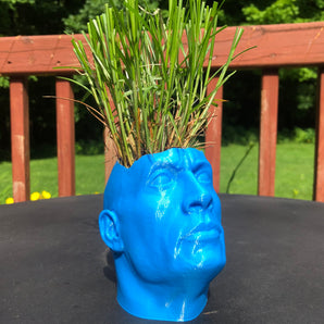 Dwayne 'The Pot' Johnson - Unik květináč